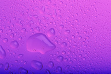 Purple Water Drops