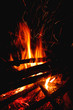 Burning bonfire flames