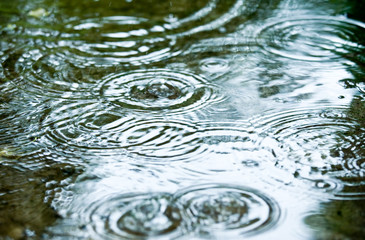 Wall Mural - rainy weather