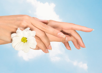 Wall Mural - female hands with flower