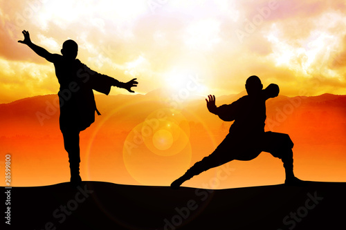 Photo Silhouette illustration of two figures doing martial art stance