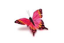 Decorative Butterfly On A White Background