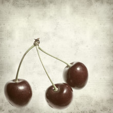 Textured Old Paper Background With Red Ripe Shiny Cherry Fruit