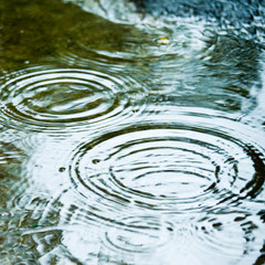 Wall Mural - rainy weather