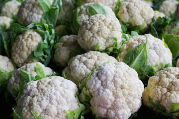 Wall Mural - Cauliflower heads