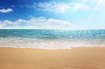 Wall Mural - beach and tropical sea