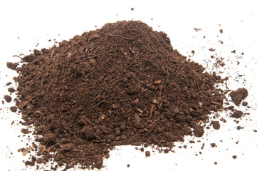 Fresh soil background closeup