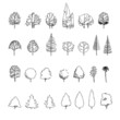 tree graphics vector