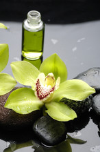 Macro Of Orchid And Massage Oil With  Reflection