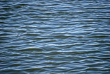 Fototapeta  - ripples in water