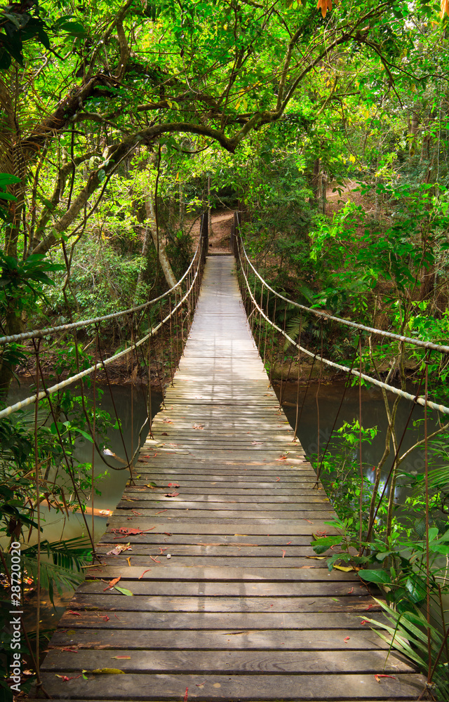 Bridge to the jungle,Khao Yai national park,Thailand - obrazy, fototapety, plakaty 