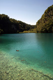 Fototapeta  - Plitvice lakes, Croatia