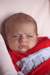 alice bimba neonata bambina cucciola ritratto
