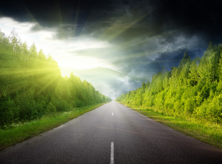 Wall Mural - stormy sky and road in forest