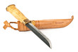 Knife and sheath over white