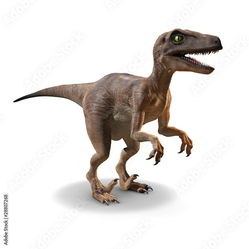 Naklejka na szybę 3d Velociraptor