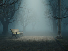 Lonely Bench In Misty Park