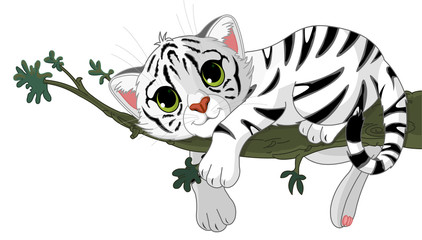 Sticker - Tiger is on a branch