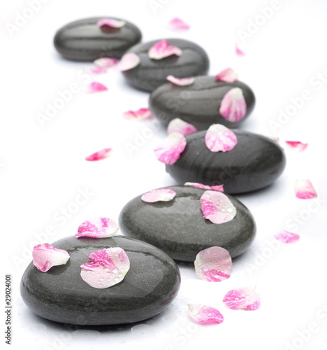 Fototapeta na wymiar Spa stones with rose petals on white background.