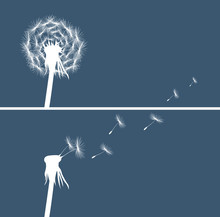Two Dandelion Buds Silhouette On Blue Background Vector