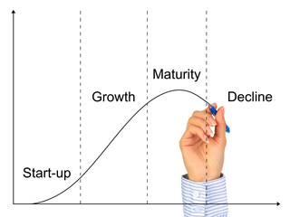 Business life cycle