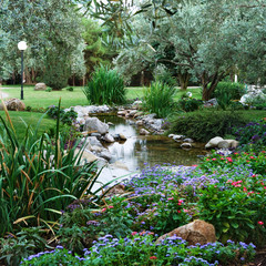 Spring flowers in the Asian garden