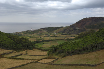 Wall Mural - Landschaft bei Ponta das Cavalas