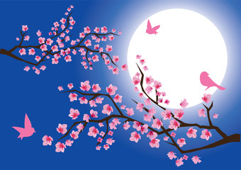 Plakat drzewa kwitnący wiśnia