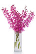 purple orchid in vase