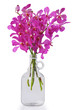 purple orchid in bottle