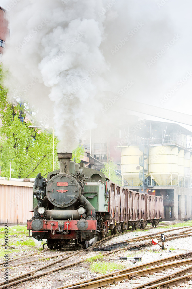 steam freight train, Kolubara, Serbia - obrazy, fototapety, plakaty 
