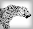 Leopard, abstract background