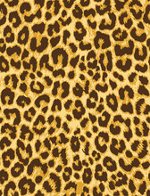 Leopard Fur Seamless Vector Pattern