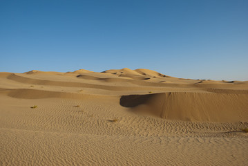  Wüste
