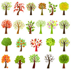 Collection Of Trees