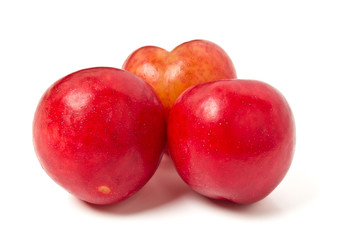 Wall Mural - Red Plums