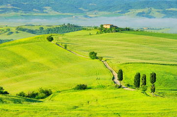 Wall Mural - Podere Terrapille 24