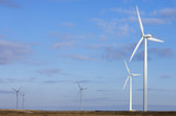 Fototapeta  - wind energy