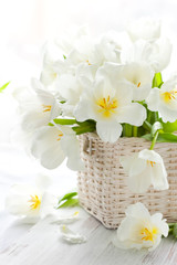 Wall Mural - white tulips in a basket