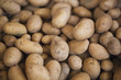 pommes de terre amandine charlotte bintje bf 15