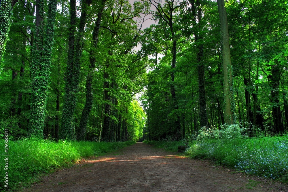 park