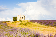 Chapel With Lavender Field, Plateau De Valensole, Provence, Fran