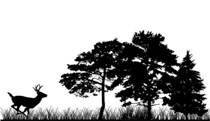 Wall Mural - trees and deer silhouettes