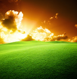 Fototapeta  - green field and blue sky