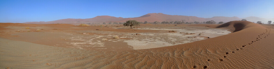 Wall Mural - Dunes de Sossusvlei