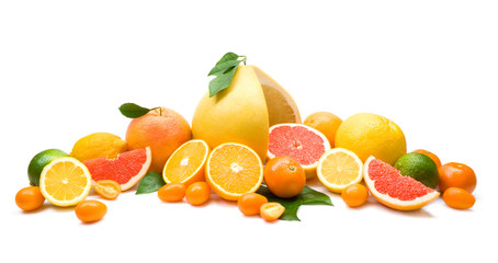 Wall Mural - citrus collection