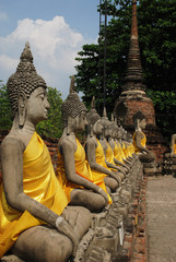 Aligned statues of Buddha ayutthaya thailand