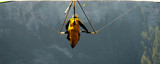 Hang-gliding over a valley