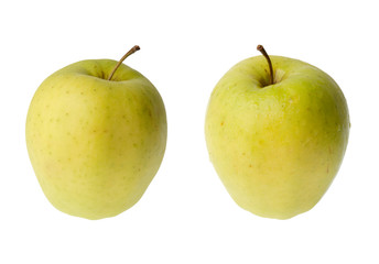 Ripe apples