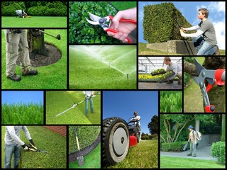 Wall Mural - landscaping company